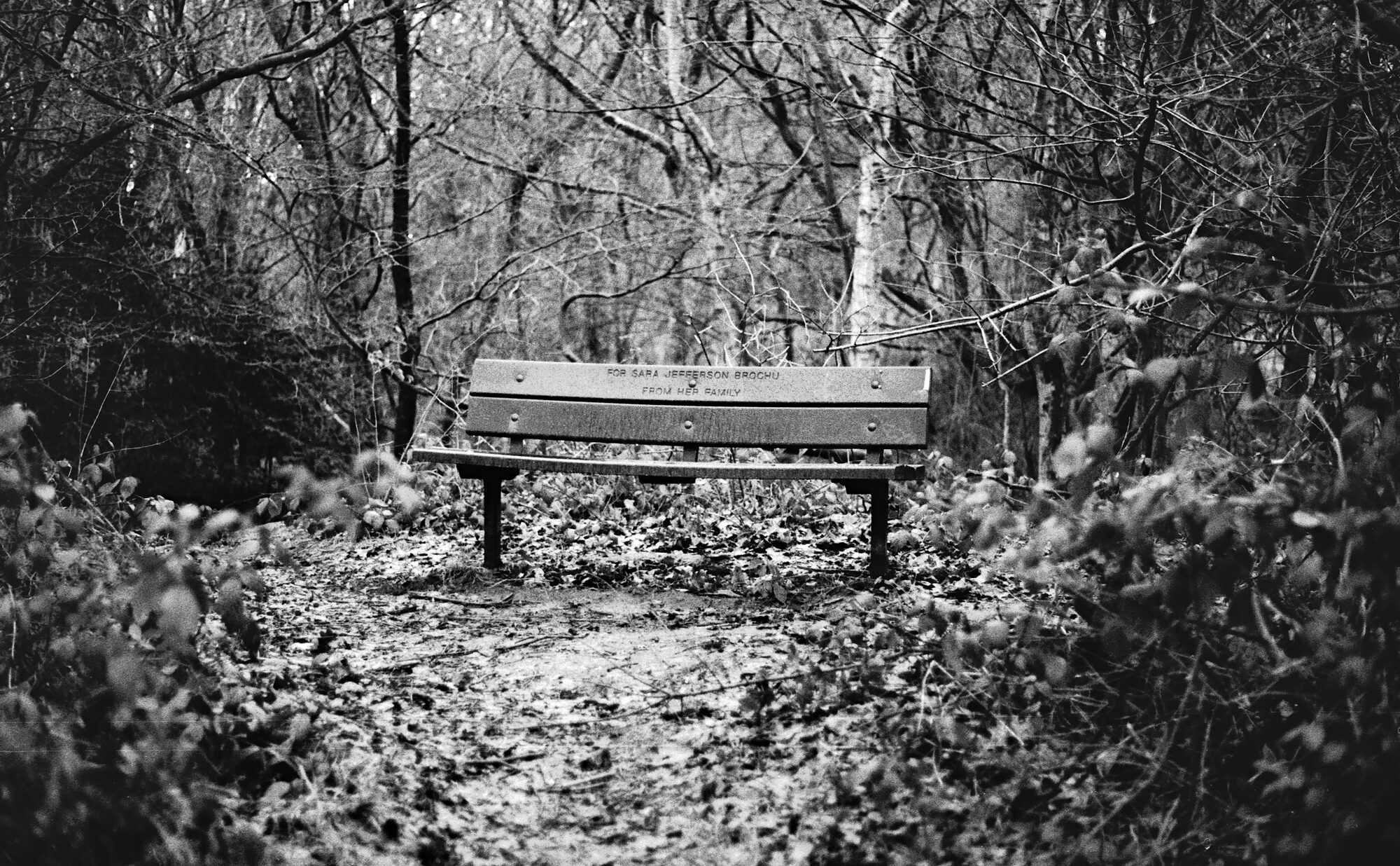 2026-02-08 / IMG_7007 — Hampstead — shot on Olympus OM10n — Agfa APX 400 Black & White