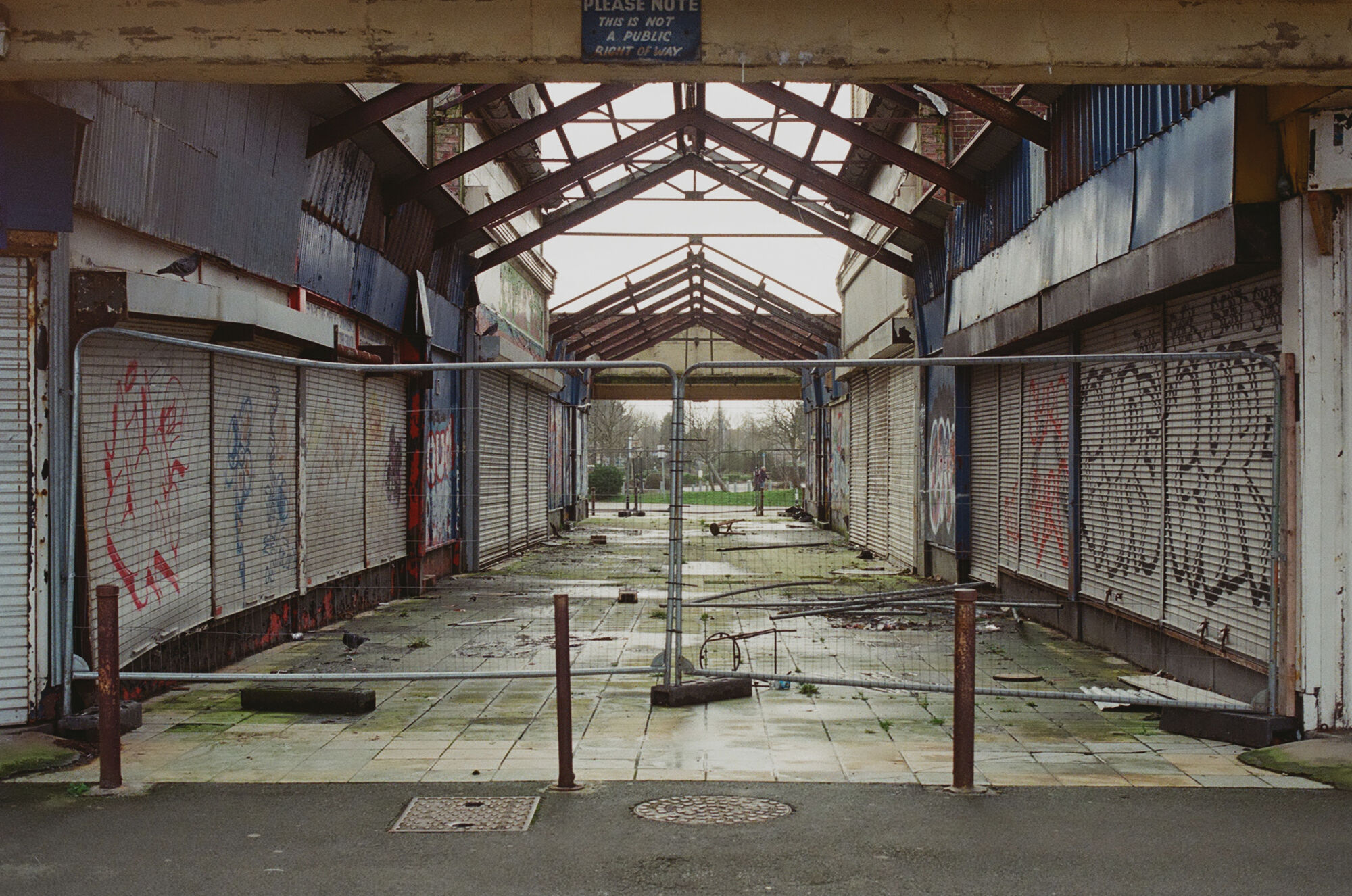 2026-02-24 / 0007_31