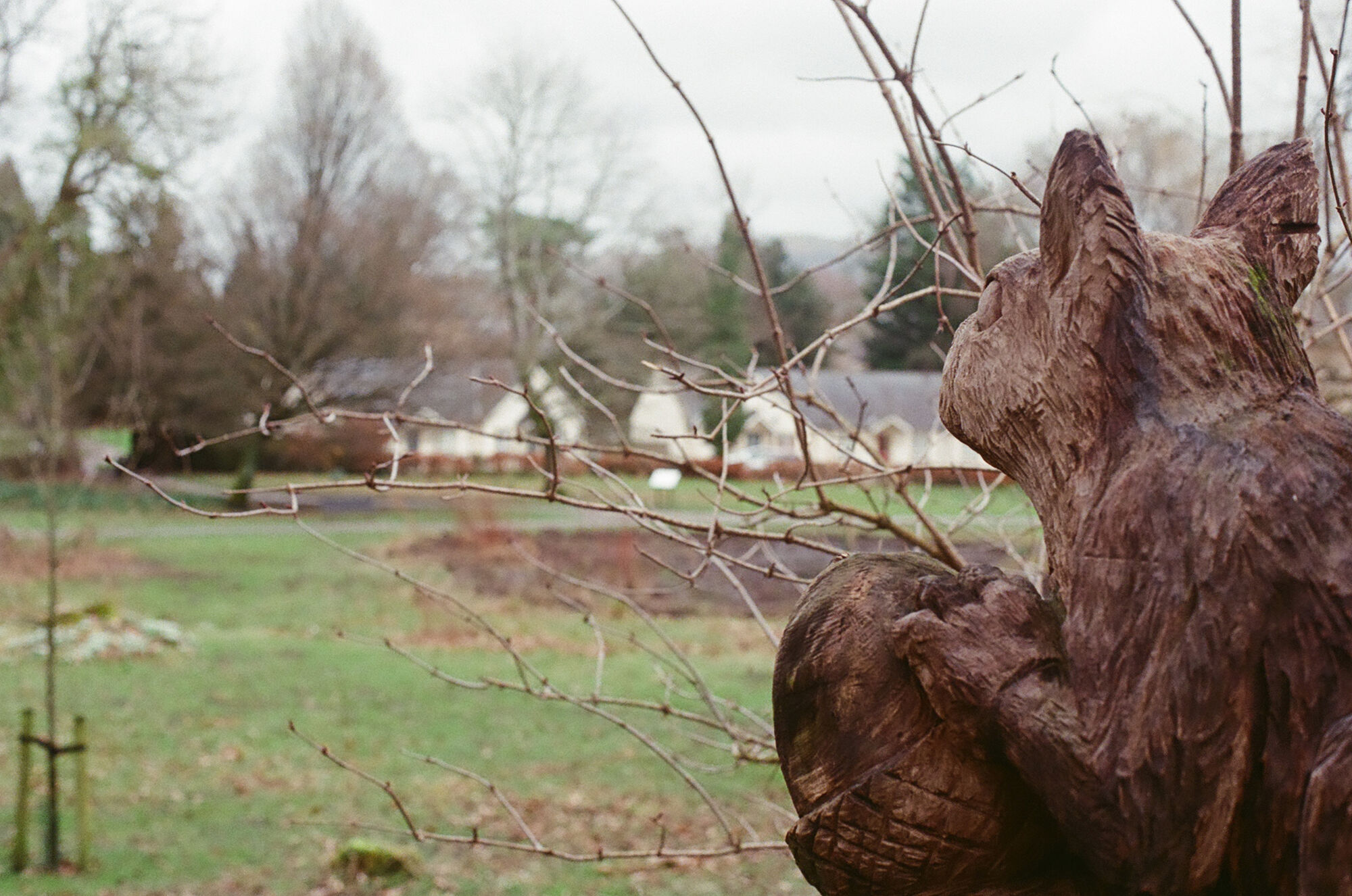 2026-02-24 / 0013_25