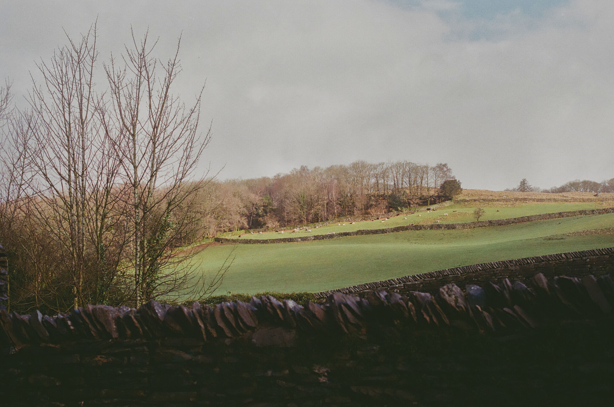 2026-02-24 / 0033_5 — Windemere — shot on Olympus OM-10n — Fujifilm 400 Colour