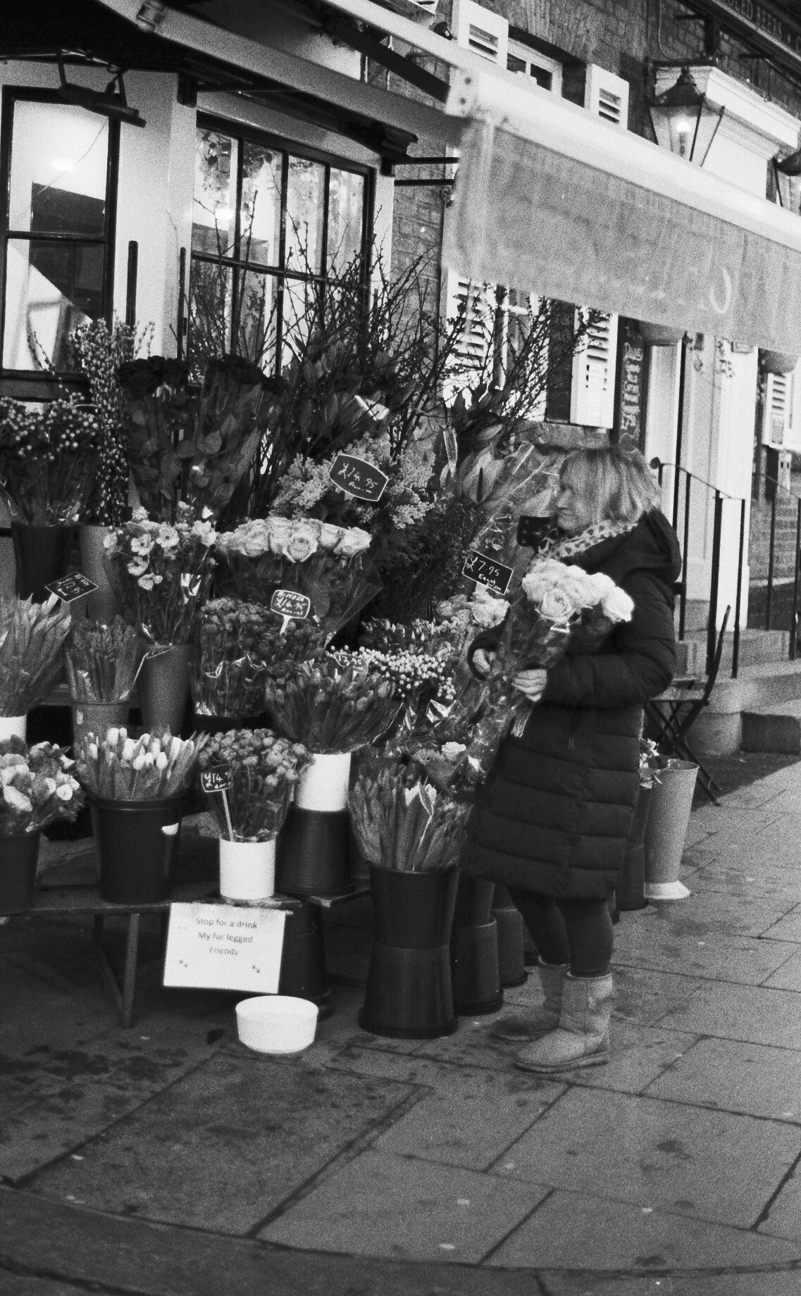 2026-03-10 / IMG_7055