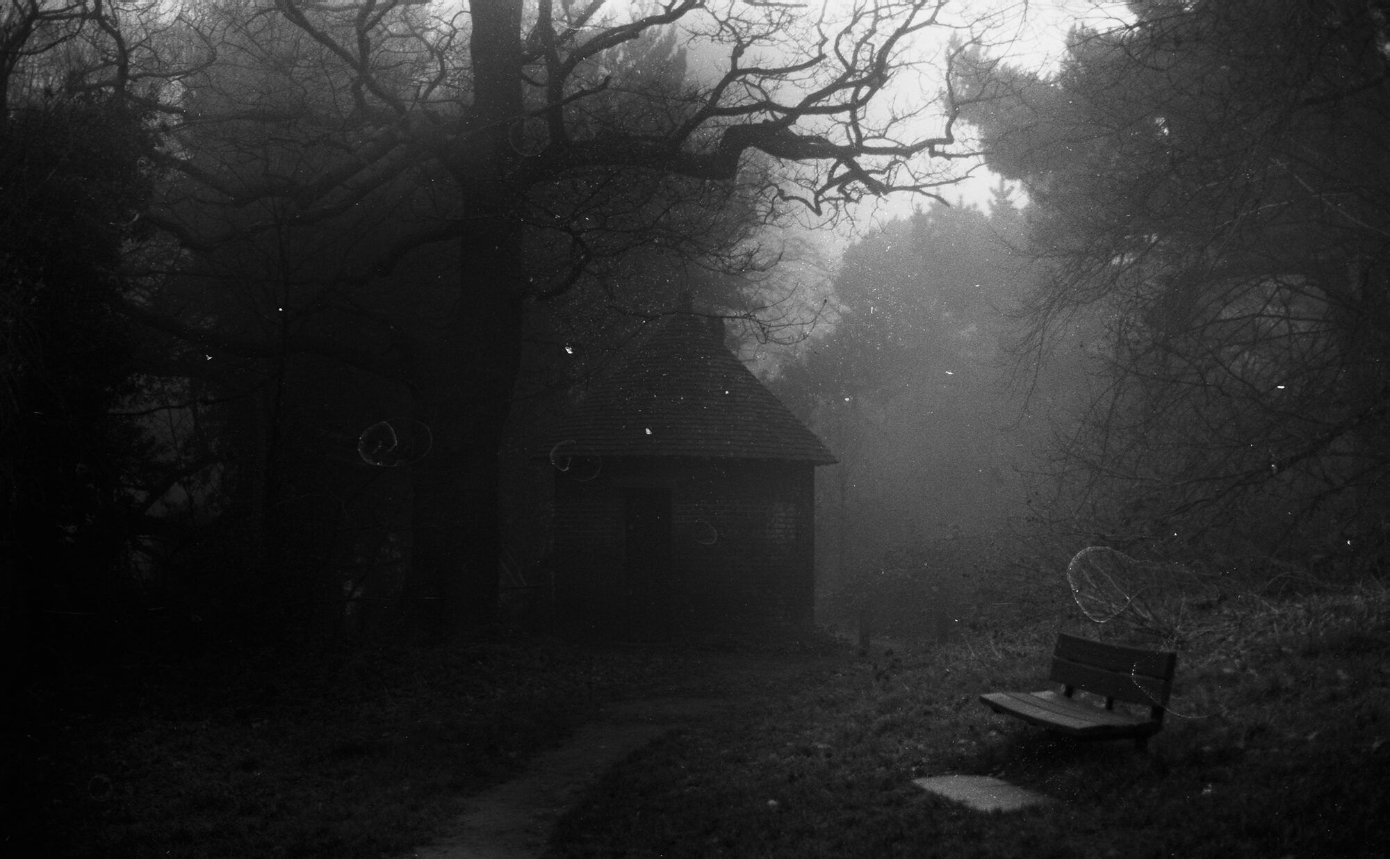 2026-05-05 / IMG_1023 — Hampstead — shot on Olympus OM10n — Fujifilm Acros II 100 Black & White