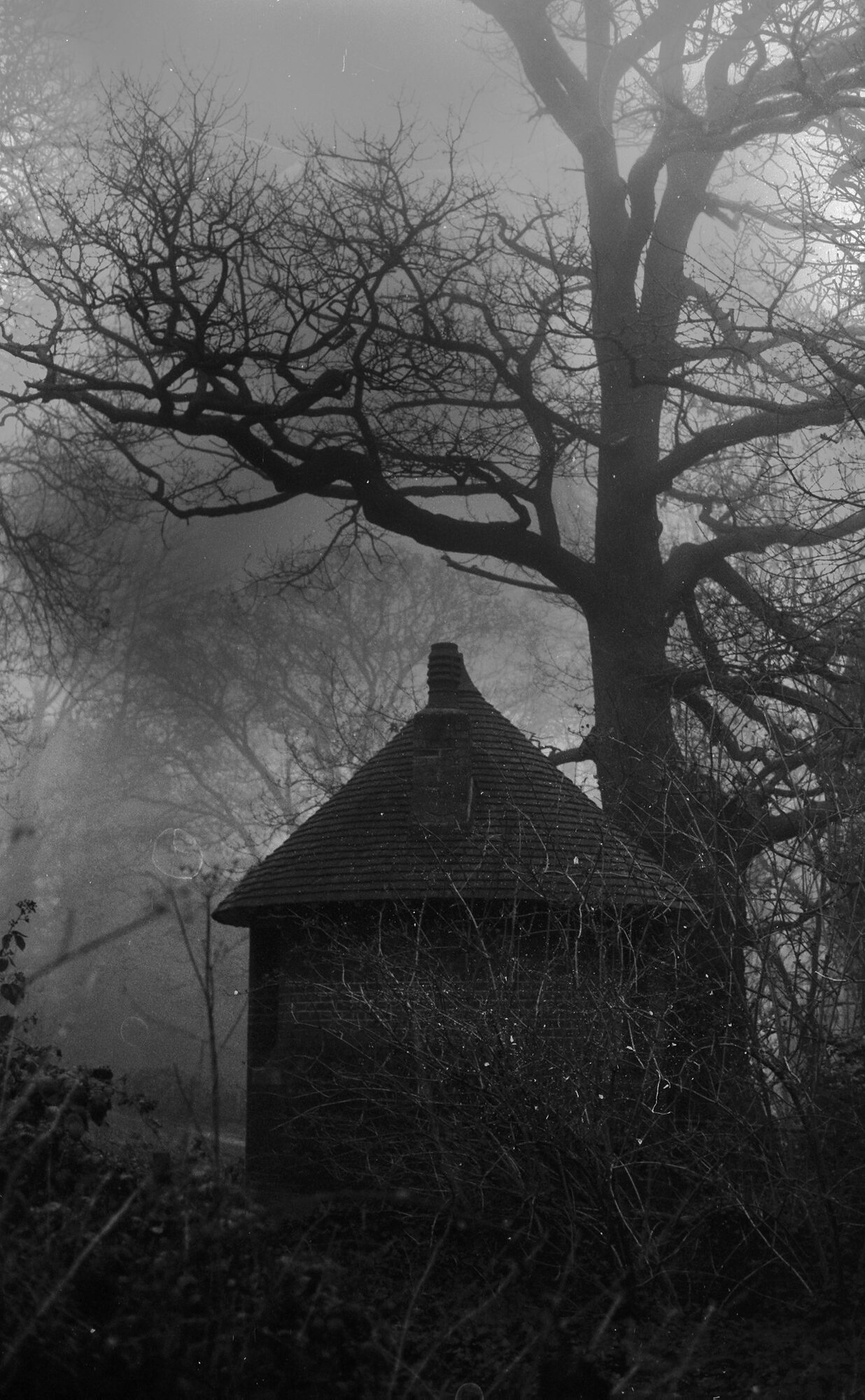 2026-05-05 / IMG_1024 — Hampstead — shot on Olympus OM10n — Fujifilm Acros II 100 Black & White