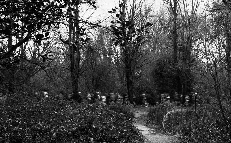 2026-02-08 / IMG_7005 — Hampstead — shot on Olympus OM10n — Agfa APX 400 Black & White