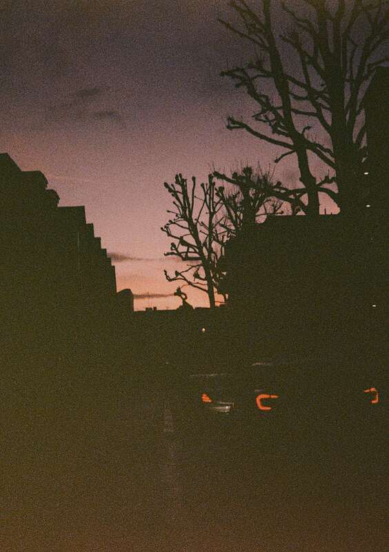 2026-02-09 / 0063 — Holland Park — shot on Olympus Pen EES-2 — Lomography X Tungsten 64